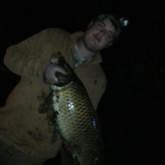 Meet your Posher, Joshua - Picture 1 of 1